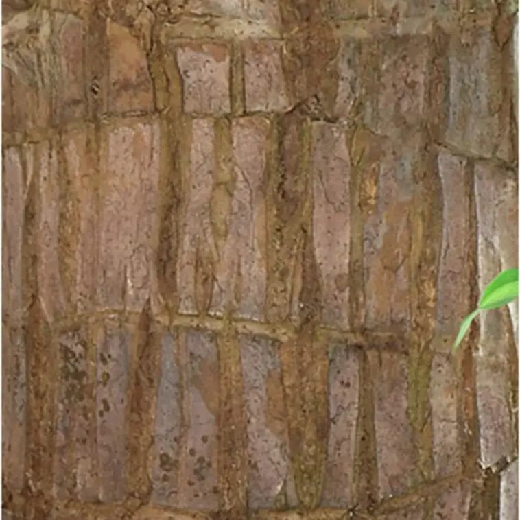 Braziliaanse - Gelukshout