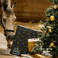 2025 – Paarden Adventskalender
